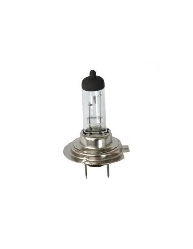 Comprar Lampara H7 12V 55W Blanca a precio de oferta