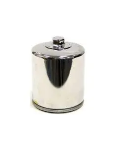 Acquista Filtro Olio Cromato K&N Kn-174C V-Rod a prezzo scontato