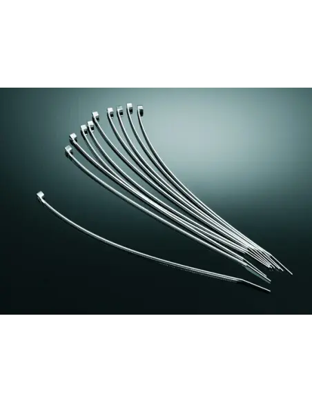Comprar Bridas Sujetatodo De Plastico Cromadas - 10 Und a precio de oferta