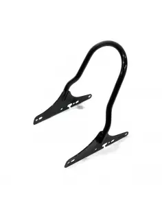 SISSY BAR LOW BLACK SPORTSTER XL1200CX ROADSTER 16-20 2
