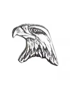 Comprar Pin Eagle Head a precio de oferta