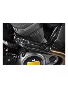 Bouclier thermique Zard carbone Pan America 20–25