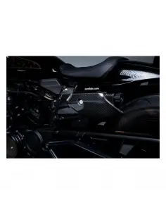 Kit Zard couvre-radiateur et panneau latéral carbone RH1250S 21–25 2