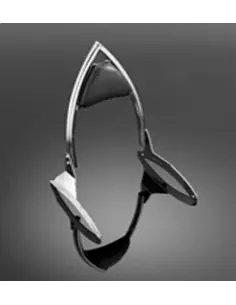 "ARCH" SISSYBAR FOR XVS1300A