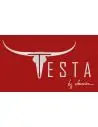 Testa by Lanuza
